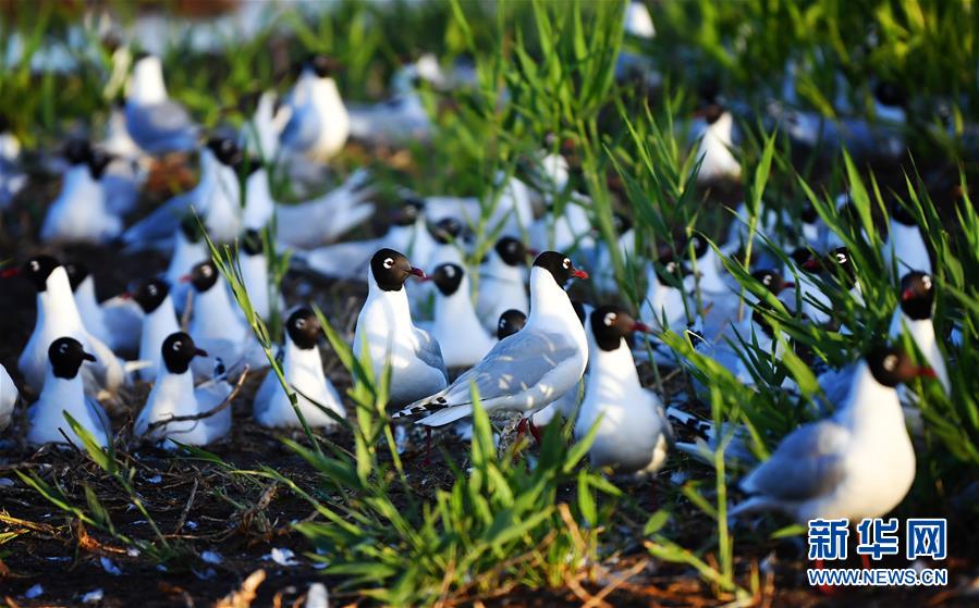 1126044729_15906471766401n.jpg 1126044729_15906471766401n.jpg