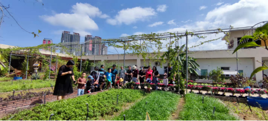 1635910223(1).jpg 1635910223(1).jpg